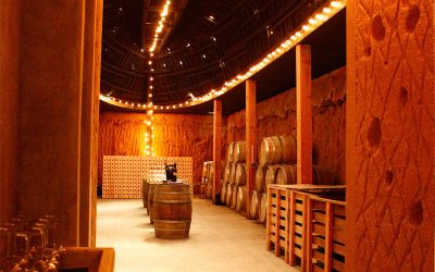 Valle de Guadalupe wine tours from San Diego – Baja Wine Tasting